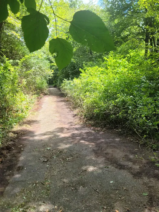 Massapequa Nature Preserve and Bethpage Bike Path Picture 3