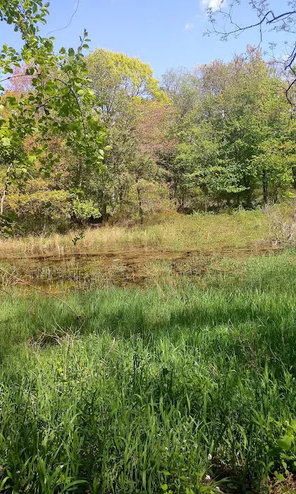 Ridge Multiple Use Area Picture 6