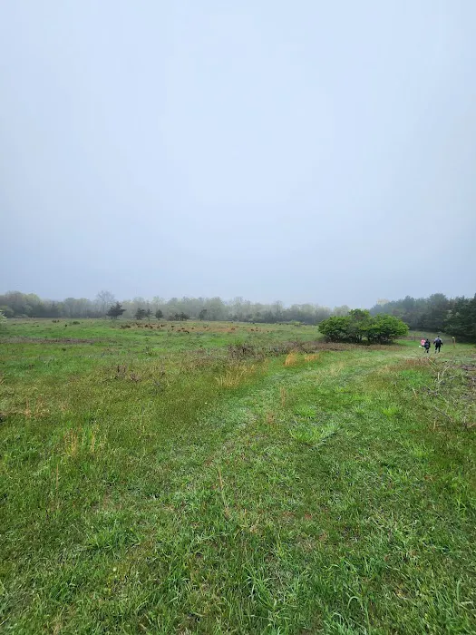 Ridge Multiple Use Area Picture 5
