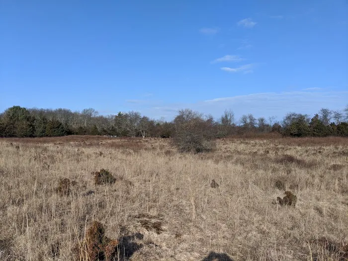 Ridge Multiple Use Area Picture 9