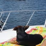 Coast Guard Cove