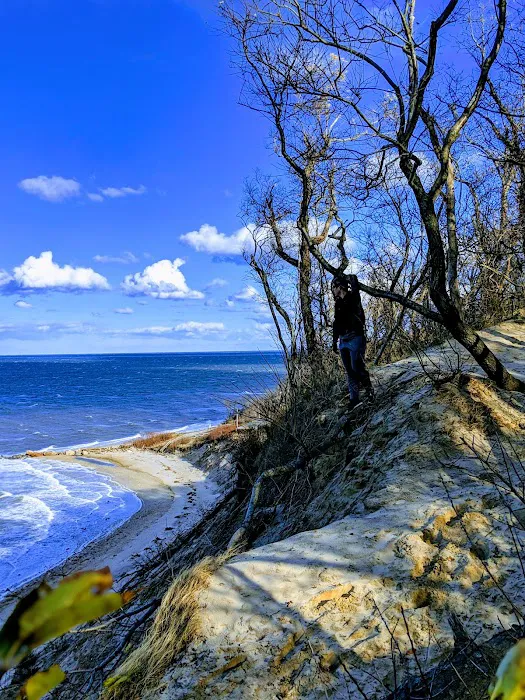 Hagerman Landing Beach Picture 6