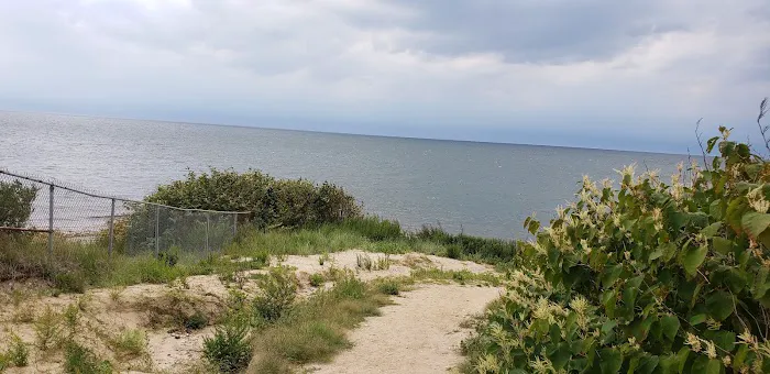 Hagerman Landing Beach Picture 7