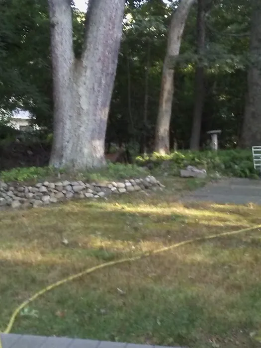 Jomar Park Picture 1