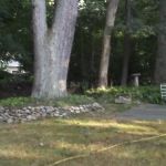 Jomar Park