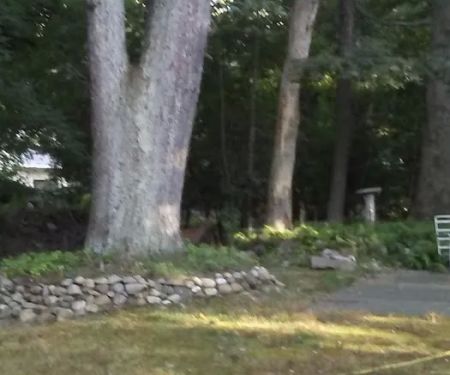Jomar Park