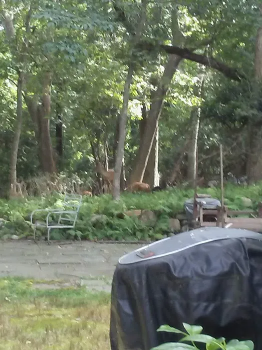 Jomar Park Picture 2
