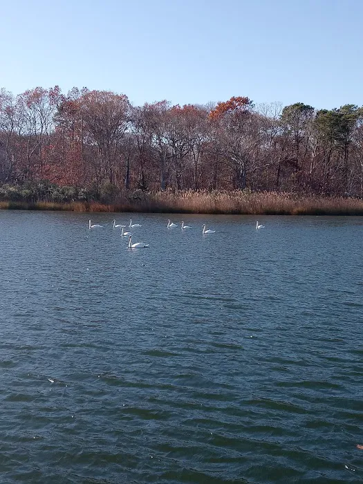 Second Neck Creek Fishing Dock Picture 1
