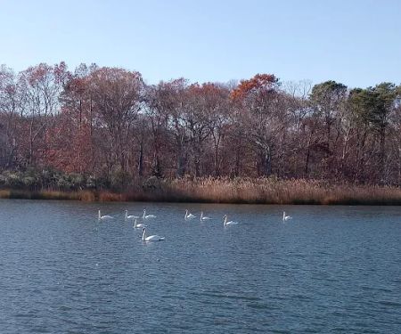 Second Neck Creek Fishing Dock