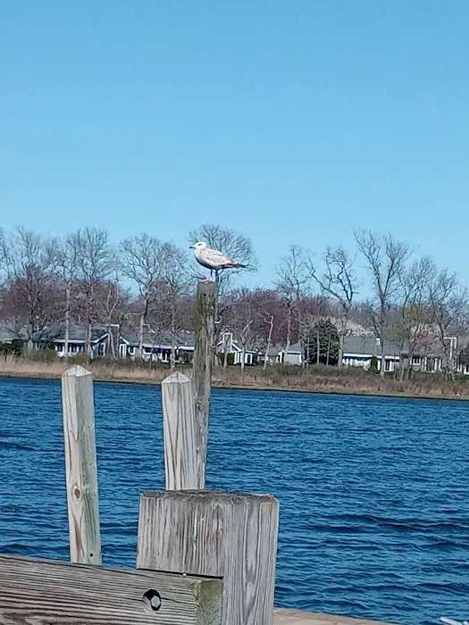 Second Neck Creek Fishing Dock Picture 5