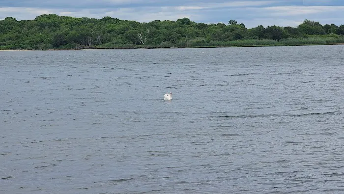 Osprey Park Picture 4