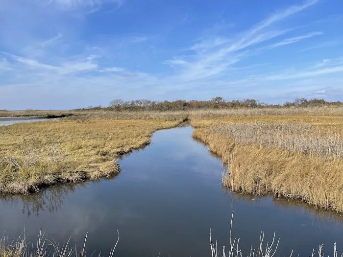 JFK Wildlife Sanctuary Picture 2