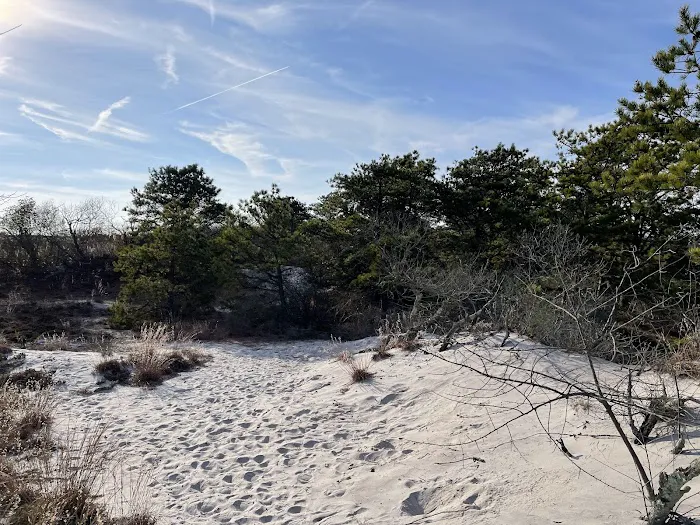 JFK Wildlife Sanctuary Picture 6