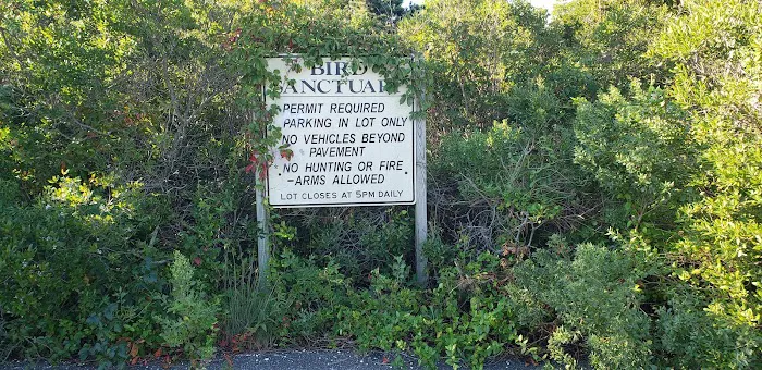 JFK Wildlife Sanctuary Picture 8