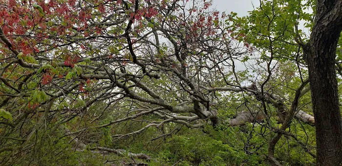 JFK Wildlife Sanctuary Picture 9