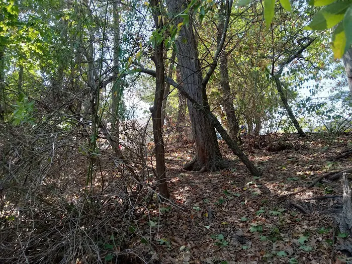 Forest City Community Park Picture 5