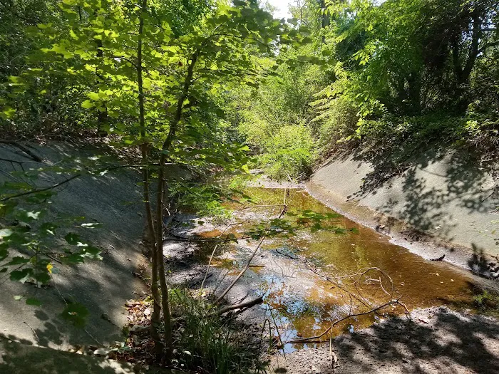 Forest City Community Park Picture 4