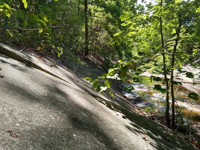 Forest City Community Park Picture 9