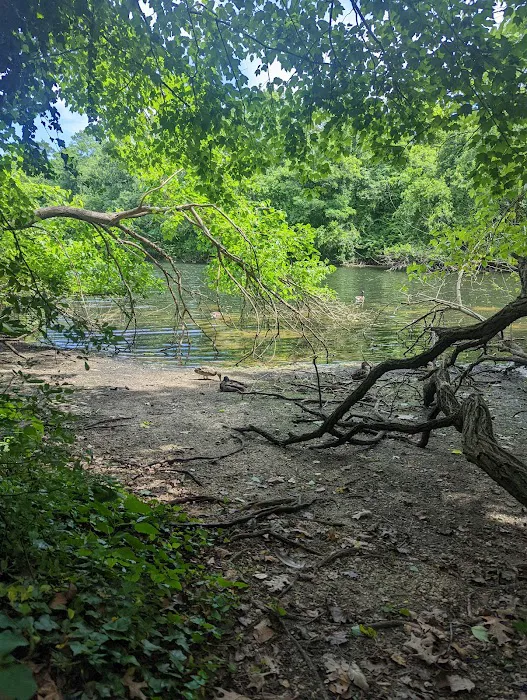 Forest City Community Park Picture 10