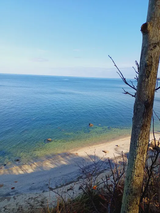 Wildwood State Park Picture 6