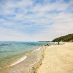 Wildwood State Park