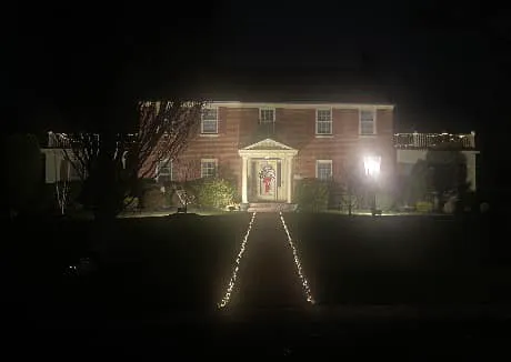The Christmas Light Guy Picture 1
