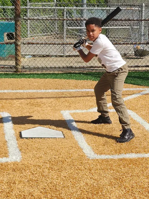 Bernard Brown Park Picture 8