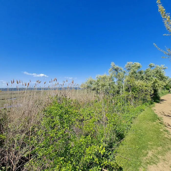 Lido Beach Passive Nature Area Picture 10