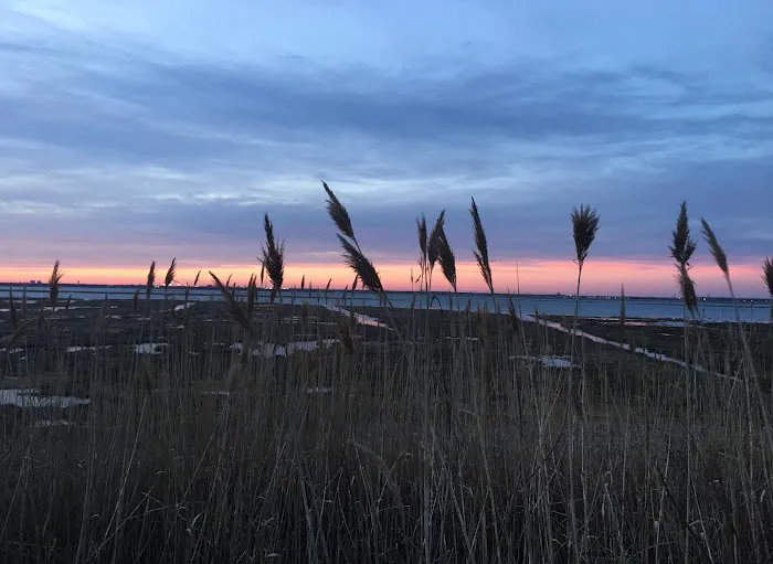 Lido Beach Passive Nature Area Picture 1