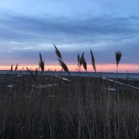 Lido Beach Passive Nature Area ico