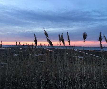 Lido Beach Passive Nature Area
