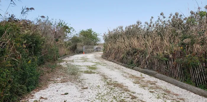 Lido Beach Passive Nature Area Picture 4