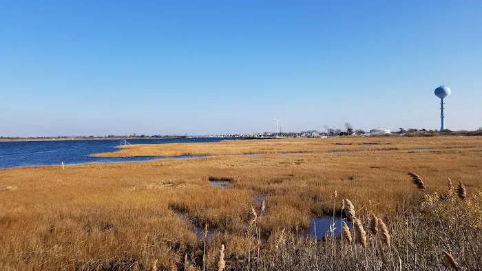 Lido Beach Passive Nature Area Picture 9
