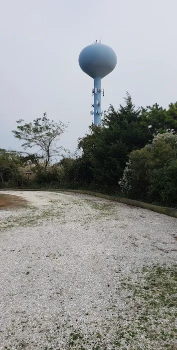 Lido Beach Passive Nature Area Picture 2