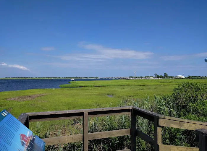 Lido Beach Passive Nature Area Picture 3