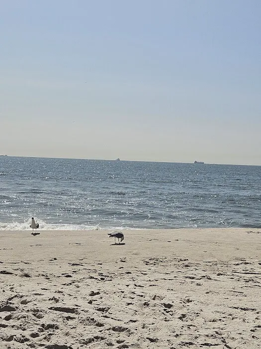Lido West Town Park Picture 9