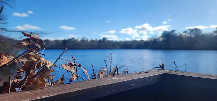 Penny Pond Picture 7