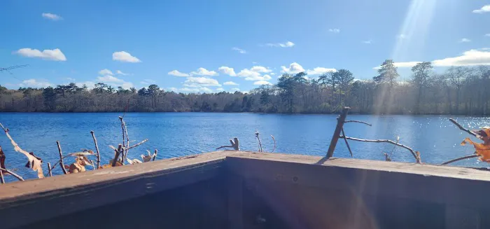 Penny Pond Picture 6