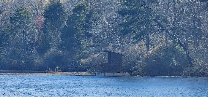 Penny Pond Picture 2