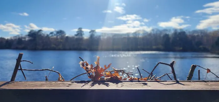 Penny Pond Picture 5