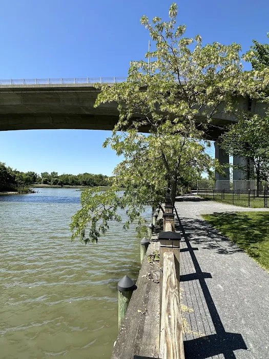 Skillman Street Park Picture 10