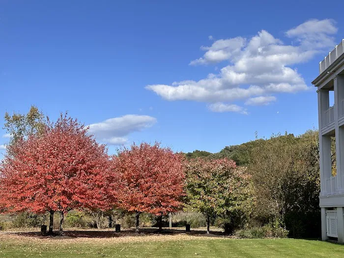 Skillman Street Park Picture 2