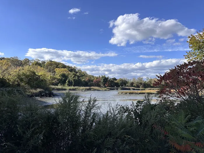 Skillman Street Park Picture 4