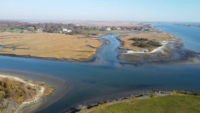 Bannister Bay Wetland Picture 6