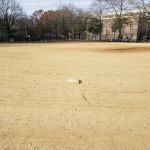 Rochdale Park
