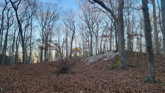 Sound View Dunes Park Picture 7