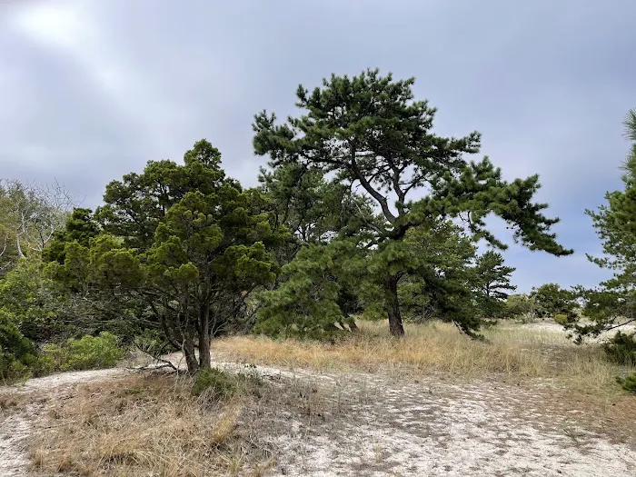 Sound View Dunes Park Picture 2