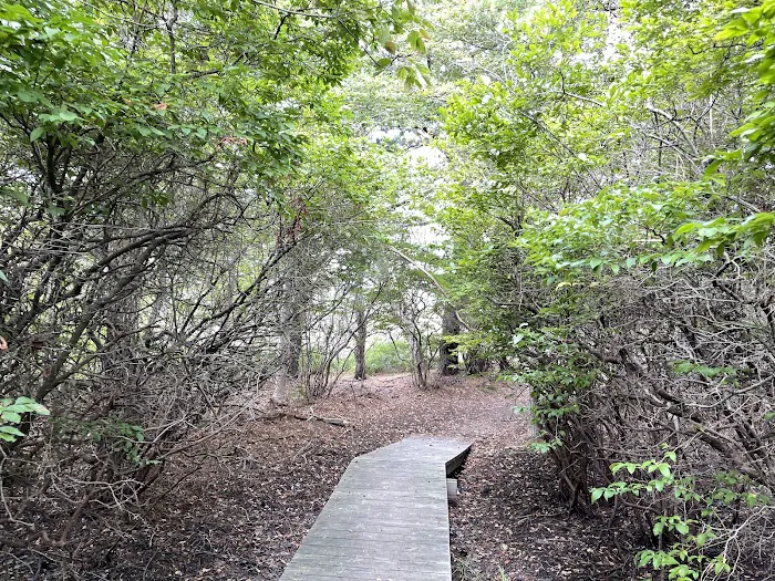 Sound View Dunes Park Picture 4