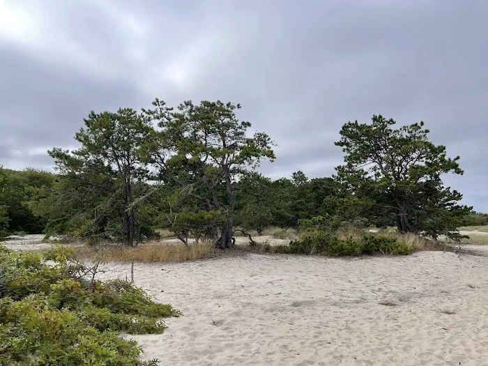Sound View Dunes Park Picture 3