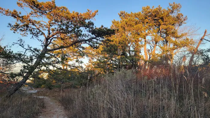 Sound View Dunes Park Picture 6